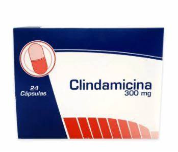 CLINDAMICINA 300MG 24 CPS COASPHARMA