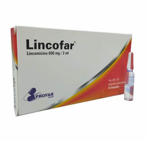 LINCOFAR 600 MG AMPOLLA
